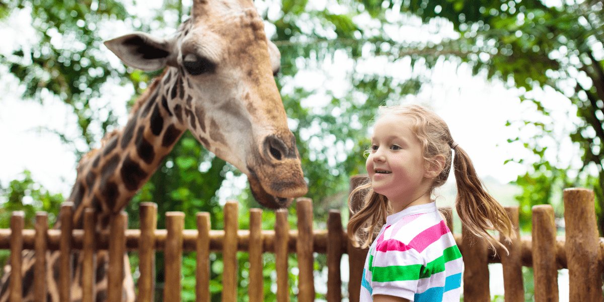 Family Fun at Castle Arch Hotel